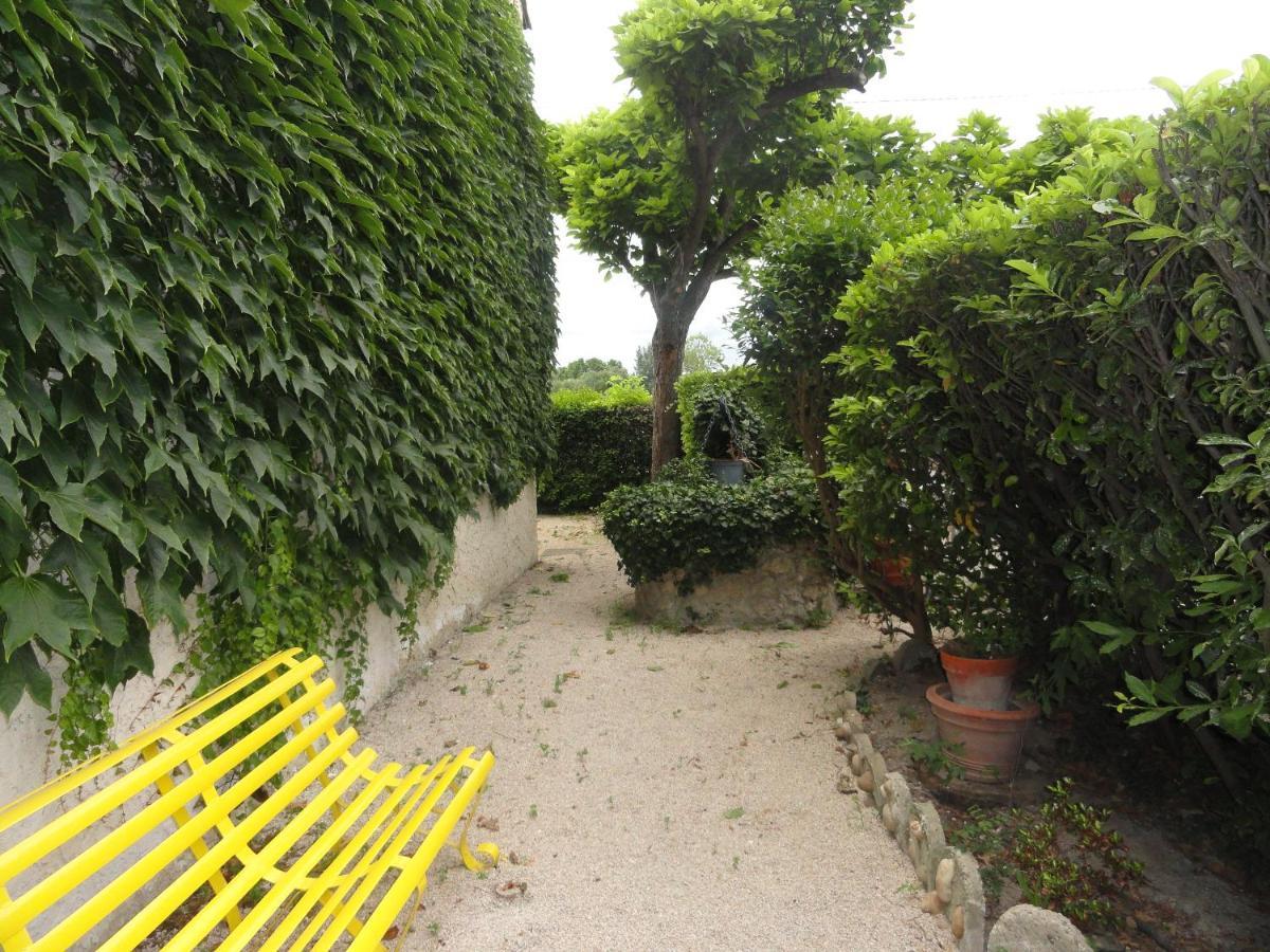 De L'ile Hotel Avignon