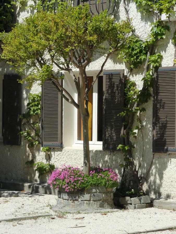 De L'ile Avignon